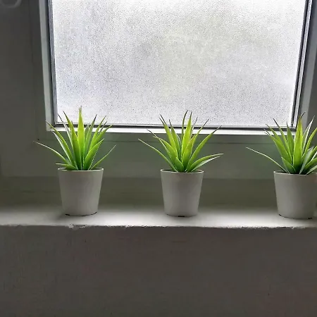 Zora Appartement Pula