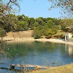 Zora * Pula