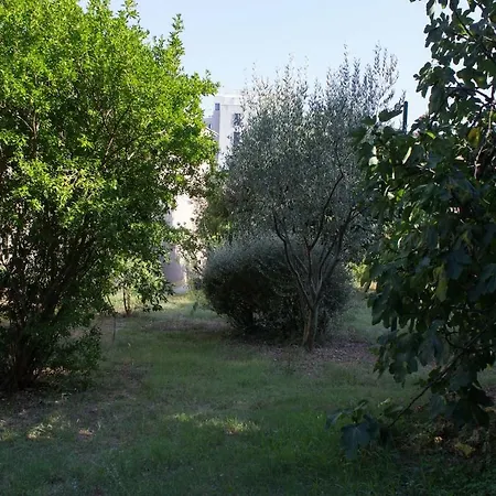 Apartament Zora