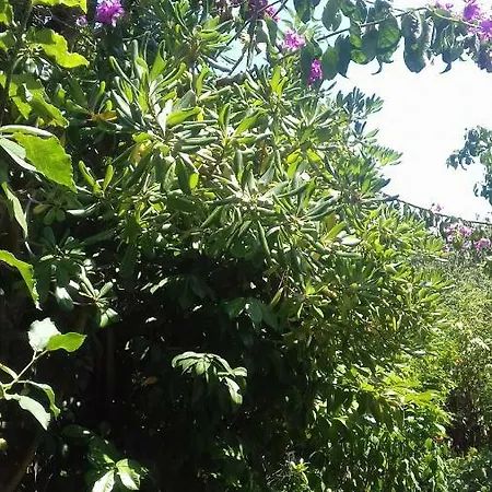 Διαμέρισμα Zora Πούλα